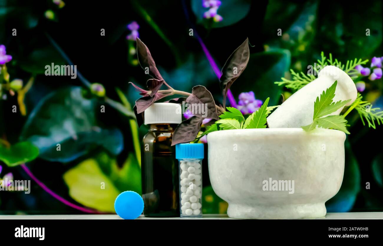 Konzept der natürlichen Homöopathie - Heilkräuter in Mörtel und Pfirsich neben der Homöopathika, bestehend aus einer Flasche Pillen und flüssigem Homöopathikum Stockfoto