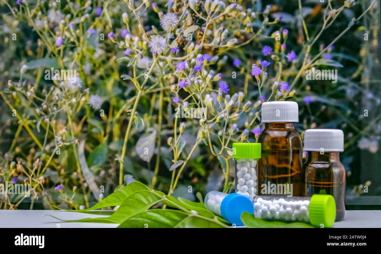 Pflanzenbasierte Globule Zuckerkugel Homöopathische Medikamente und Glasflaschen auf grünem Blatt mit wildem Blumenhintergrund Stockfoto