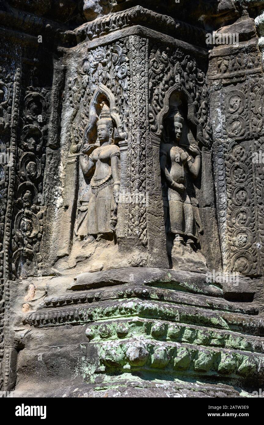 Ta Prohm Tempel in Angkor Wat, Siem Reap, Kambodscha Stockfoto