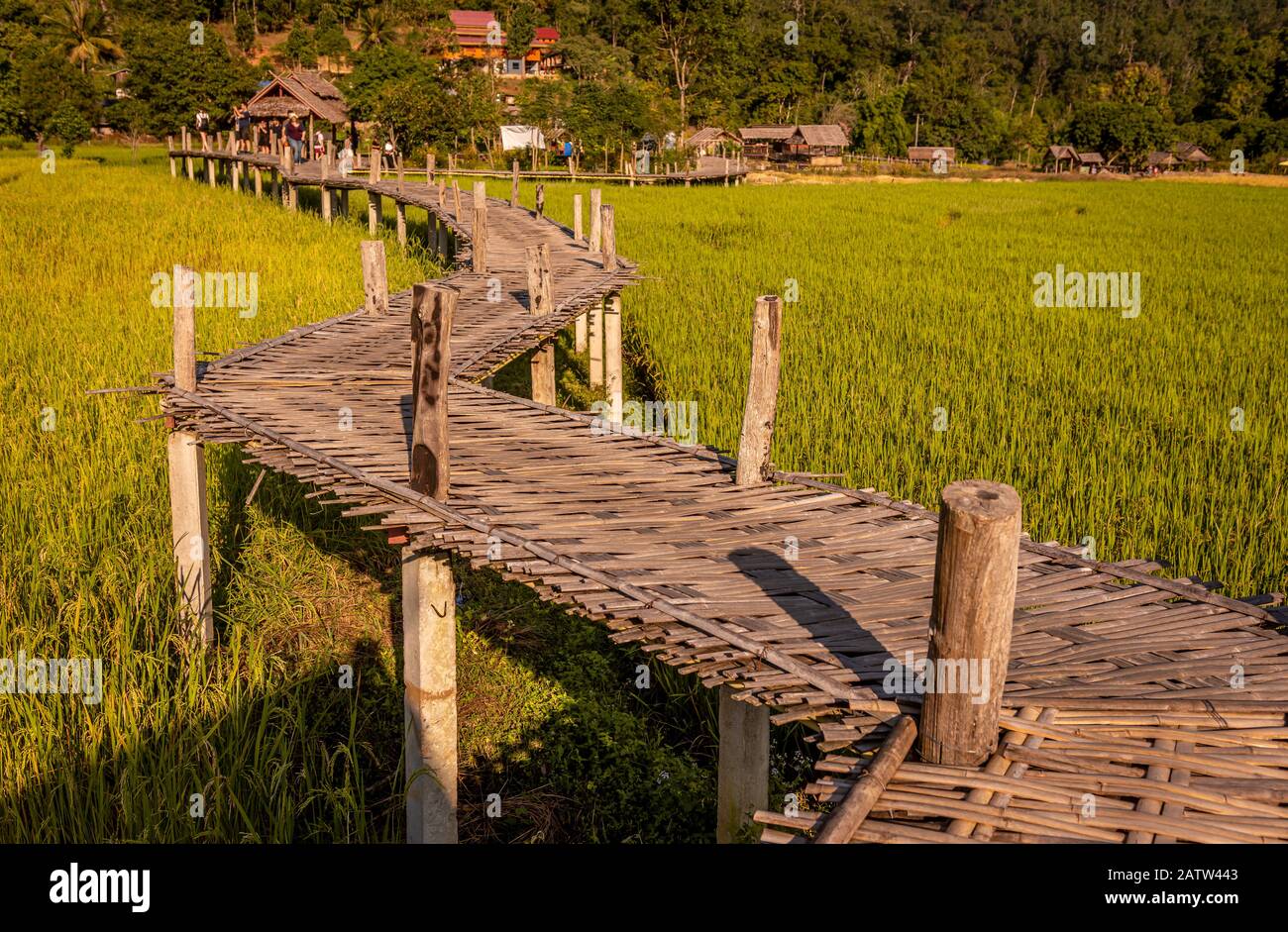 Bambusbrücke und Reisfelder, Pai, Thailand Stockfoto