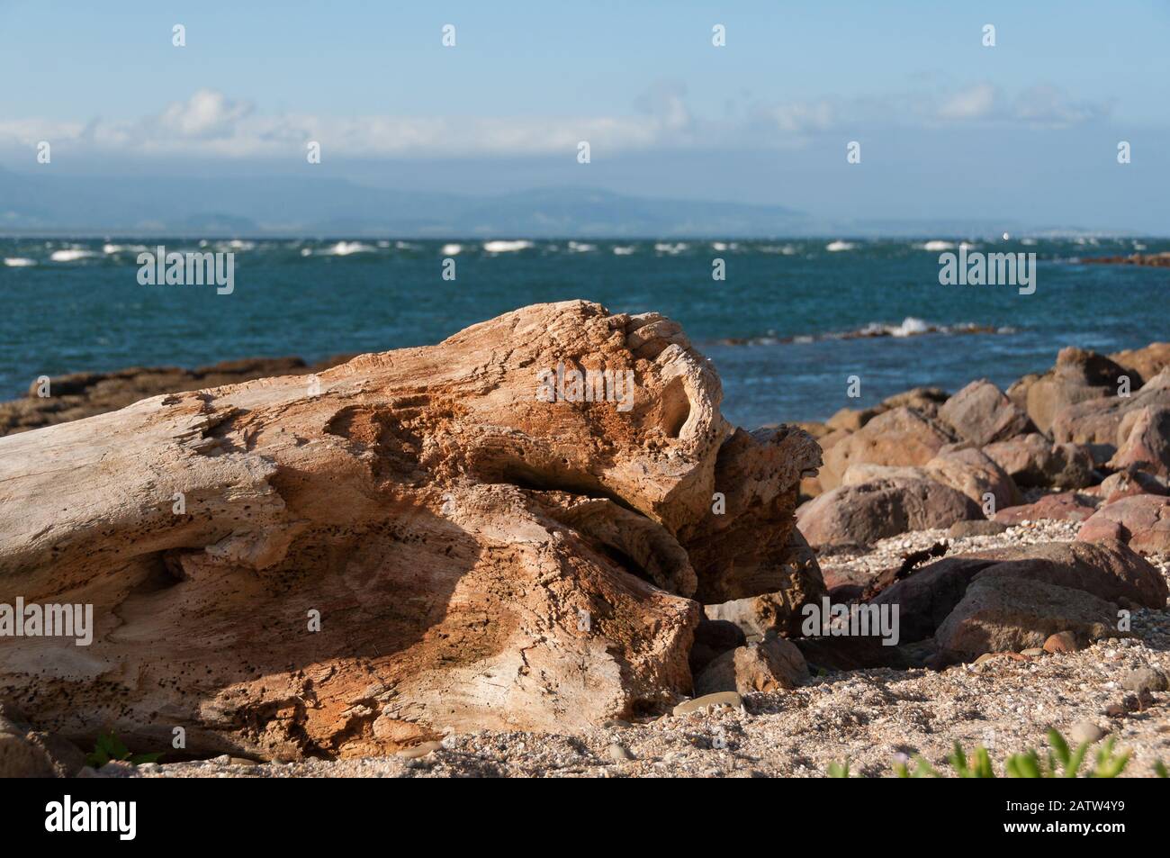 Spektakuläre Felsformationen mit blauem Meereswasser im Hintergrund. Australische Küstenlandschaft Stockfoto