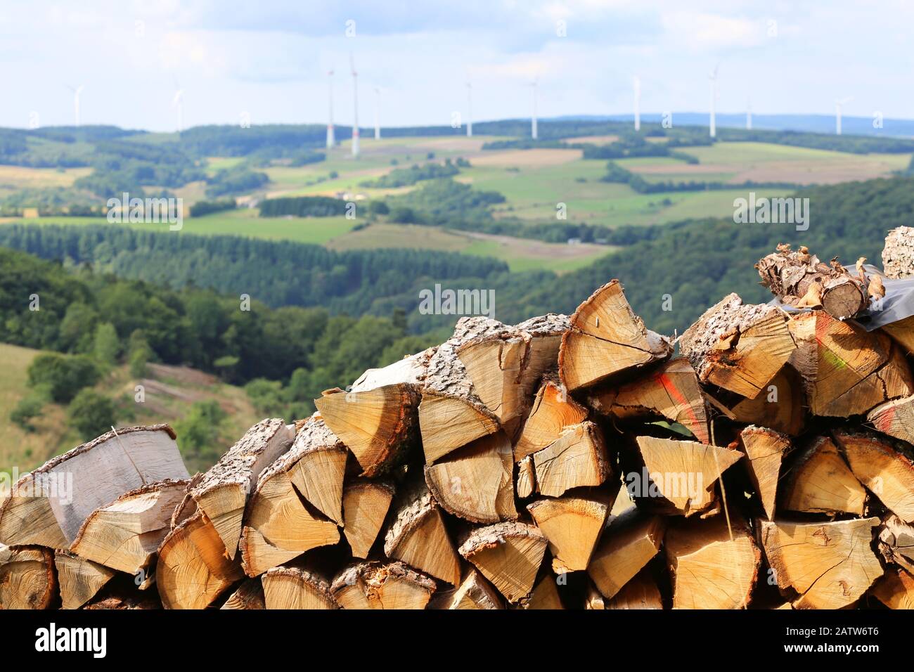 Brennholz in deutscher Landschaft gestapelt Stockfoto