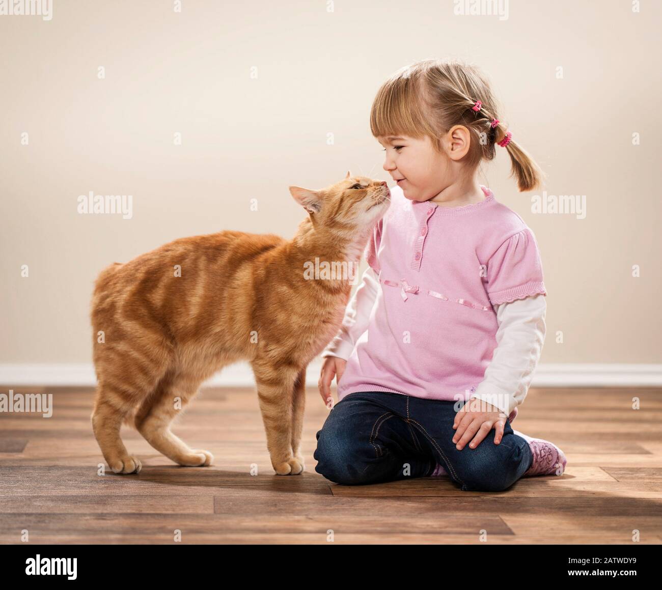 Ein kleines Mädchen und eine rot-tabby Hauskatze auf einem Holzboden. Deutschland... Stockfoto