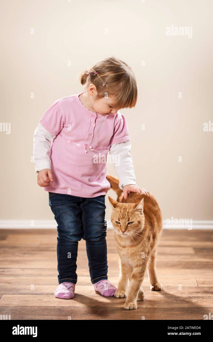 Ein kleines Mädchen und eine rot-tabby-Hauskatze stehen nebeneinander auf einem Holzboden. Deutschland Stockfoto