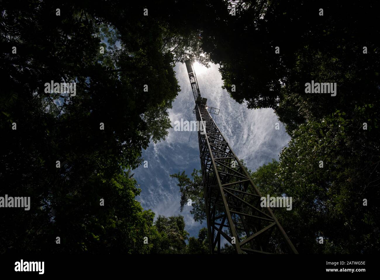 Niedriger Winkel des Krans, der für die Untersuchung des Baumdachs am Daintree Rainforest Observatory in Queensland, Australien verwendet wird. Februar 2015 Stockfoto