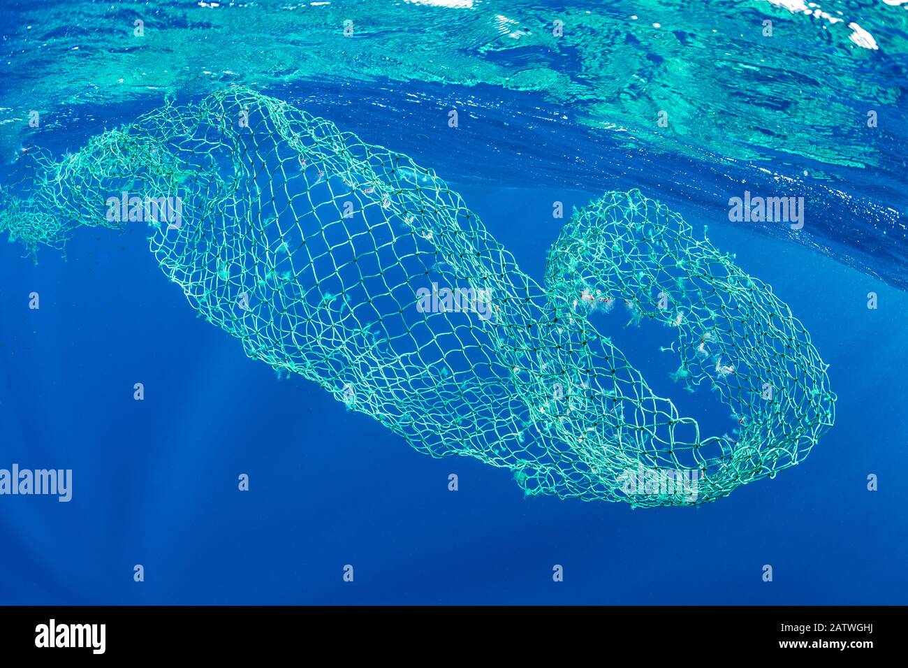Schwimmendes, verfallenes Netz im Ozean, Dominica, Karibik, Atlantik. Stockfoto