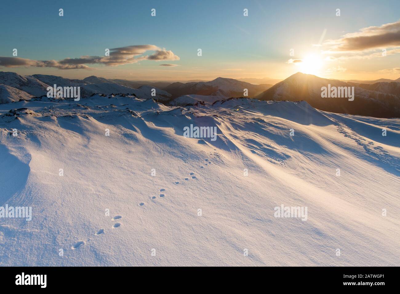 Berghare Fußabdrücke im Schnee auf der Bergkuppe in Glen Coe, Lochaber, Schottland, Großbritannien.Februar Stockfoto