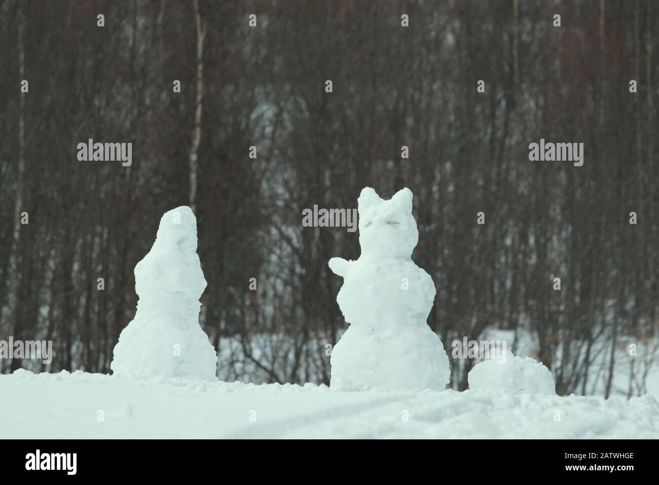 Winterwald Schneemann für Festlichkeit Design. Winternatur. Waldlandschaft. Winterschnee. Weißer Frost. Stockfoto