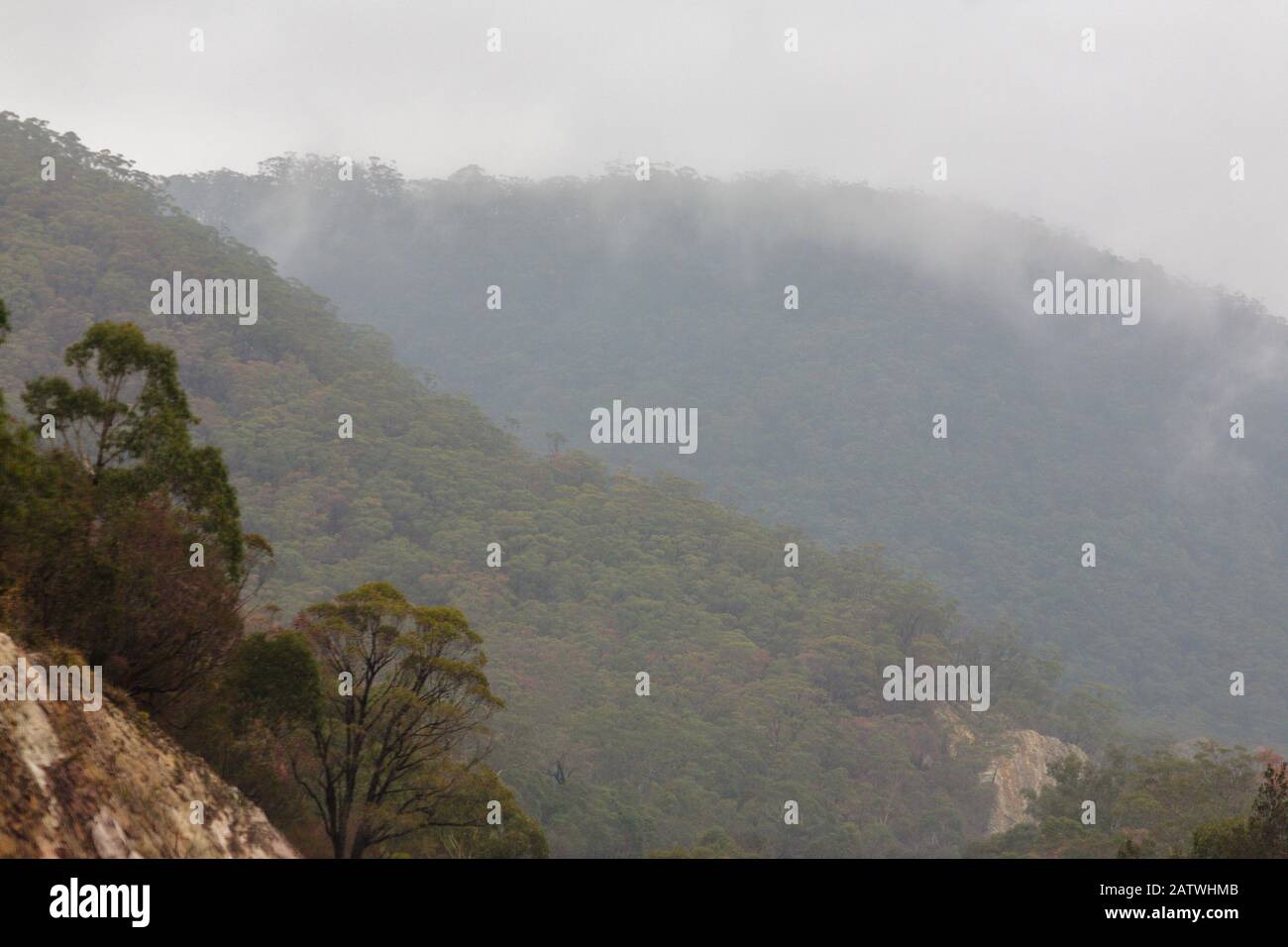 Hügel, die in australischem Busch bedeckt sind und in einer Wolke auf dem hume Highway von sydney nach melbourne liegen Stockfoto