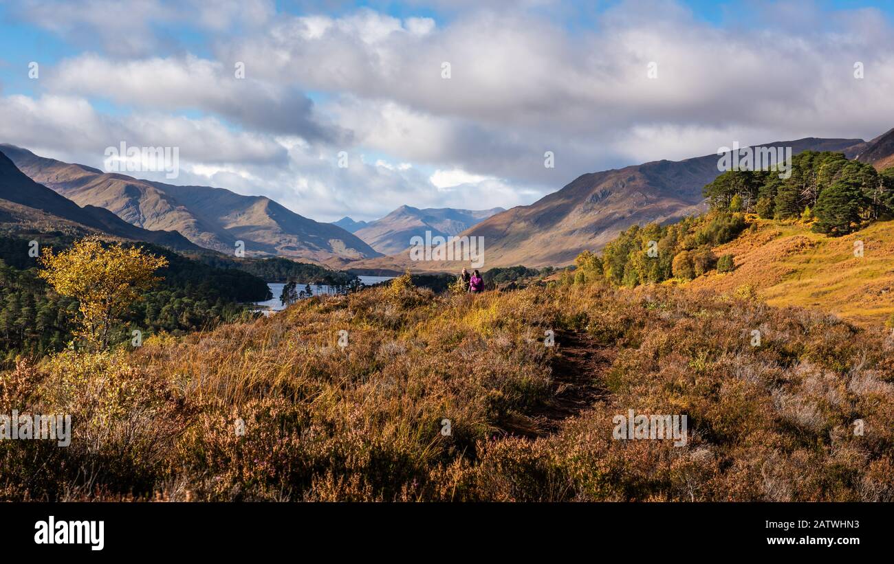 Glen Affric das beeindruckende Landschaft ist die perfekte Kombination aus Kiefernwäldern, Seen, Flüsse und Berge Es ist vielleicht die schönste Glen in Scotlan Stockfoto