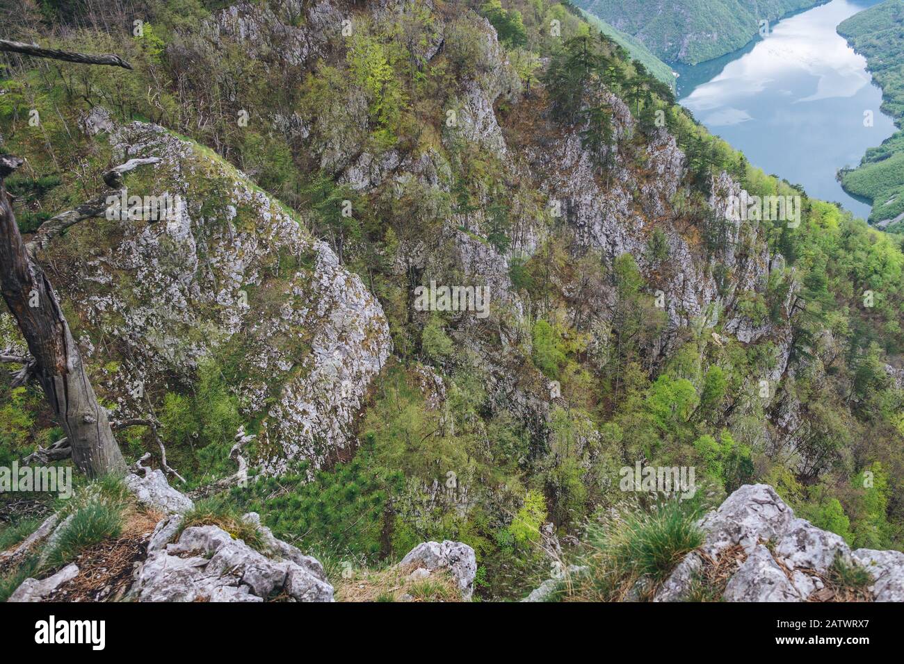 Landschaft auf dem Tara Berg Stockfoto