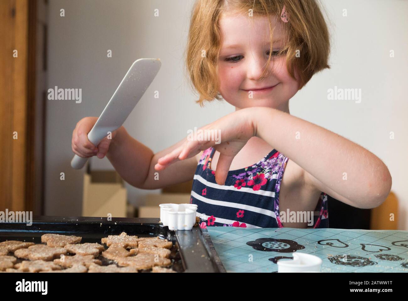 Mädchen im Alter von 5 / 5 Jahren, die ein Gebäckschneider beim Backen von Keksrezepten aus Zutaten/Keksen verwenden; Hauskochbacken mit Kindern/Kindern. (112) Stockfoto