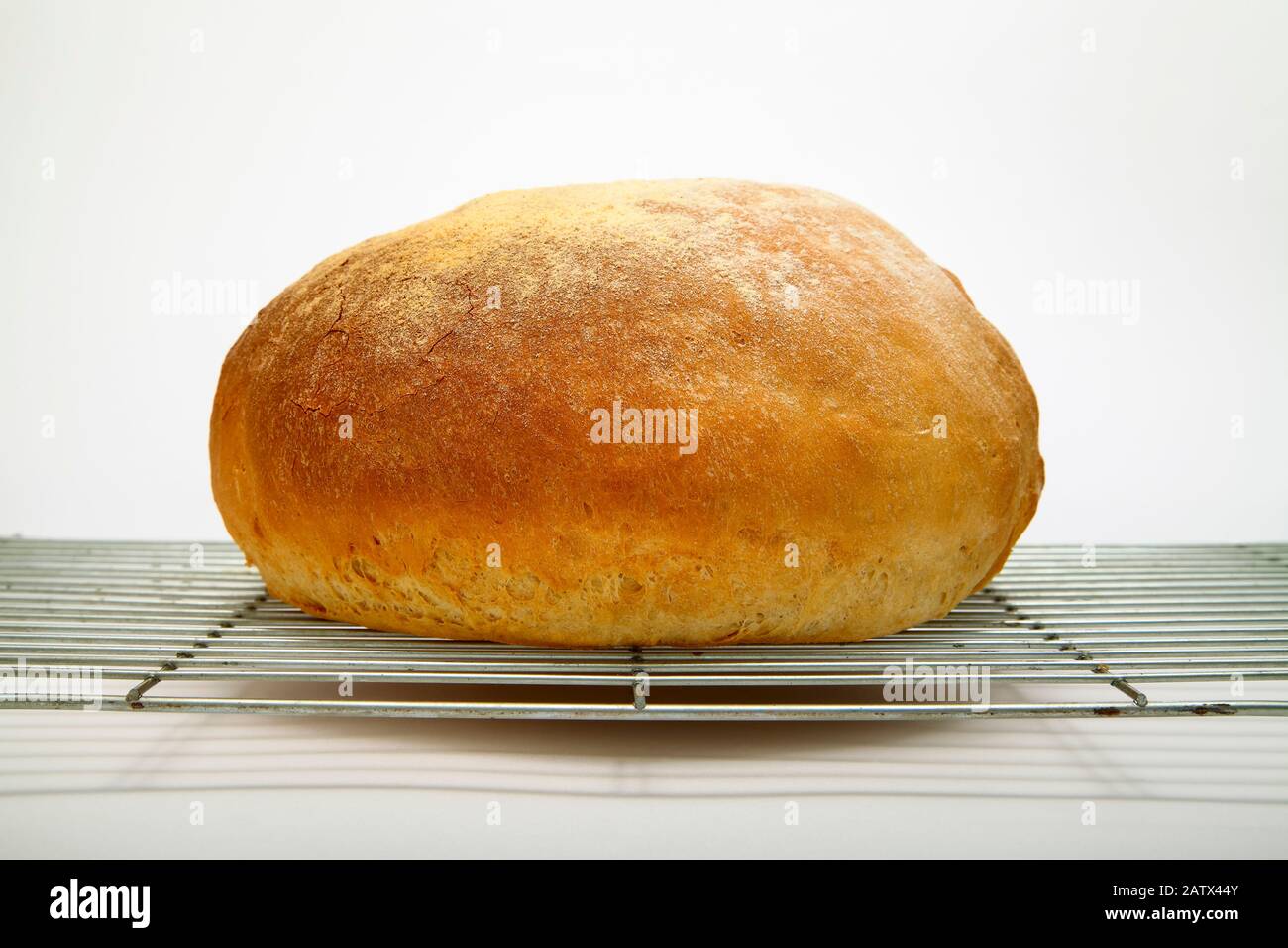 Frisch gebackenes Brotlaib auf einem Kühlregal, isoliert auf weißem Hintergrund Stockfoto