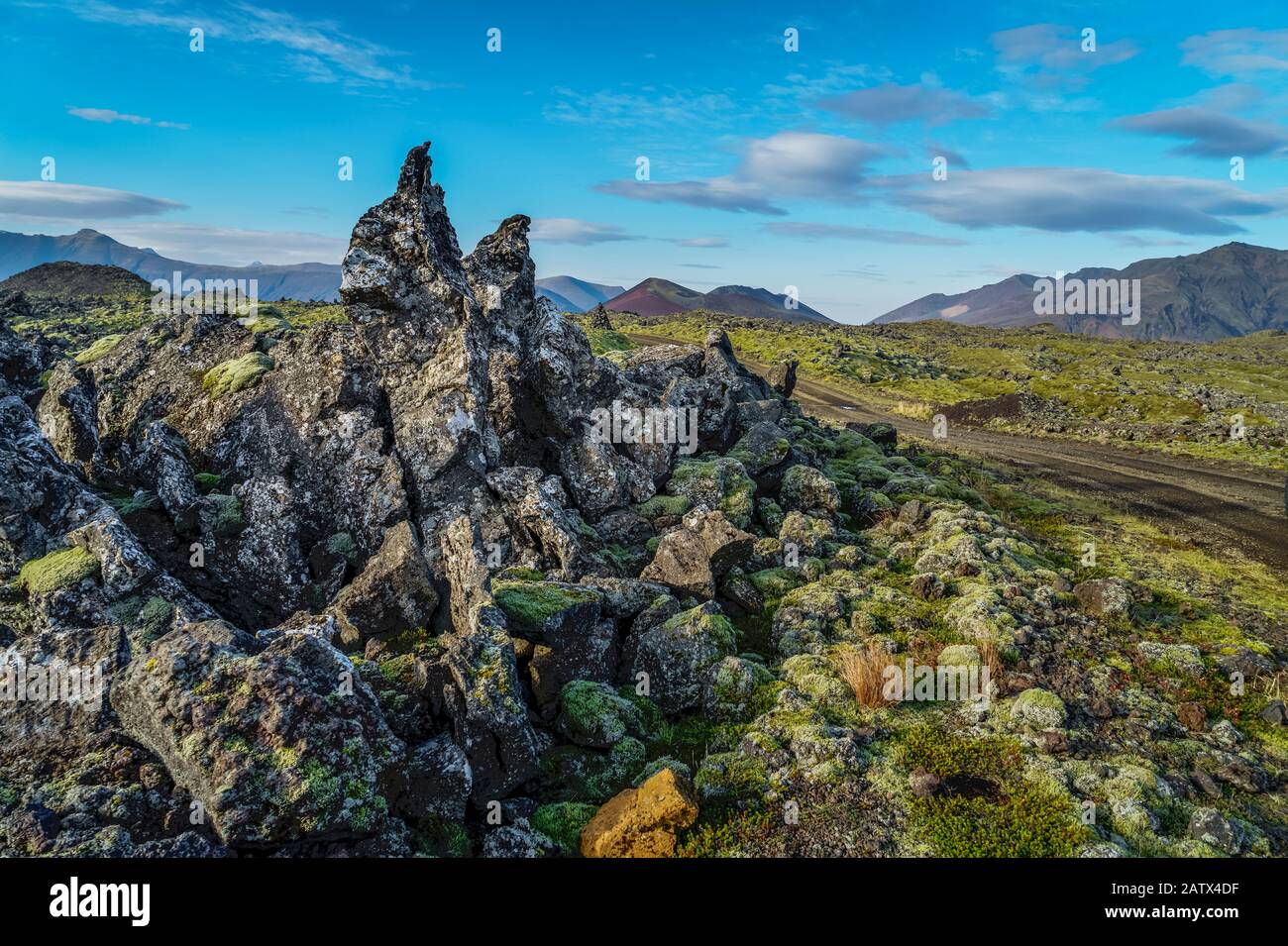 Berserkjahraun Lava ist Teil eines Vulkansystems, das im Norden der Halbinsel Snaefellsnes in Stykkisholmur, Island liegt Stockfoto