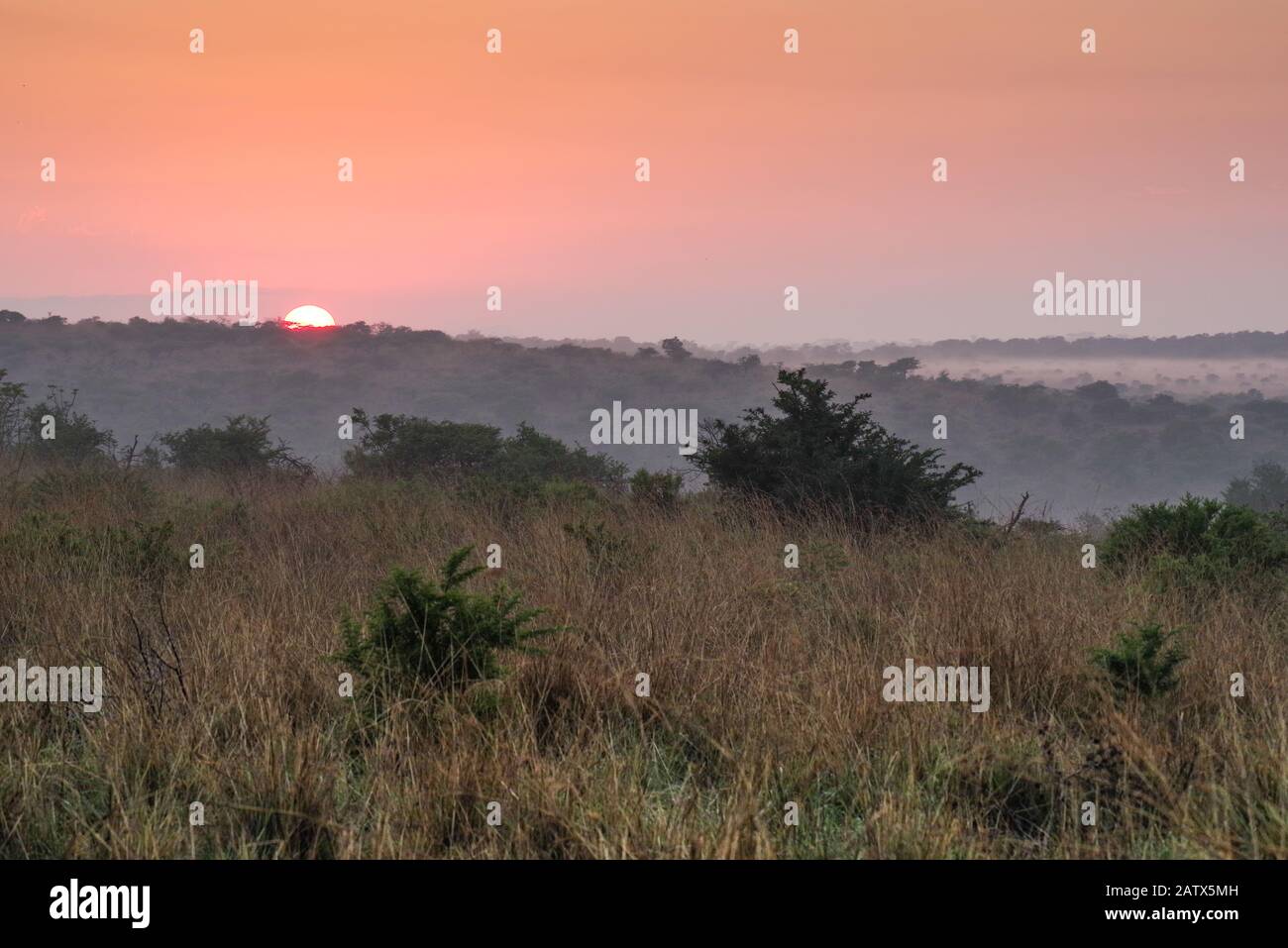Sonne, die über die schöne afrikanische Landschaft rund um das private Game-Reservat Nambiti Big 5 - Kwa Zulu-Natal‎, Südafrika, steigt Stockfoto
