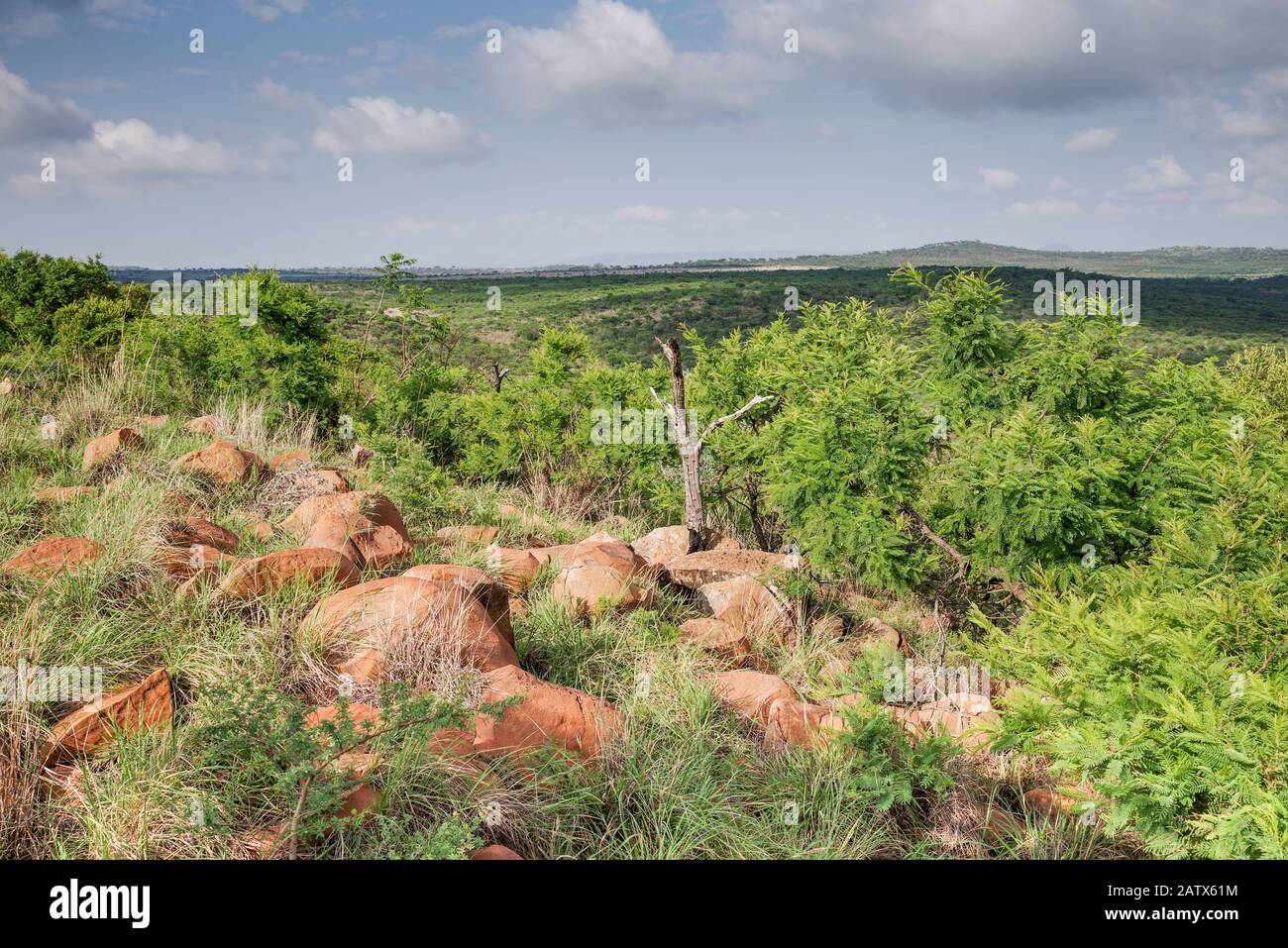 Schöne afrikanische Landschaft rund um das private Wildreservat Namiti Big 5 - Kwa Zulu-Natal‎, Südafrika Stockfoto