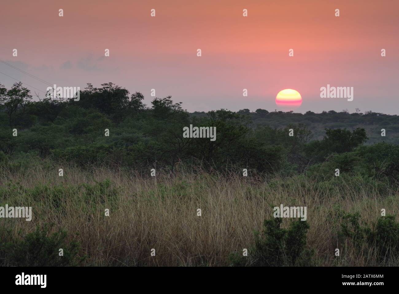 Sonne, die über die schöne afrikanische Landschaft rund um das private Game-Reservat Nambiti Big 5 - Kwa Zulu-Natal‎, Südafrika, steigt Stockfoto