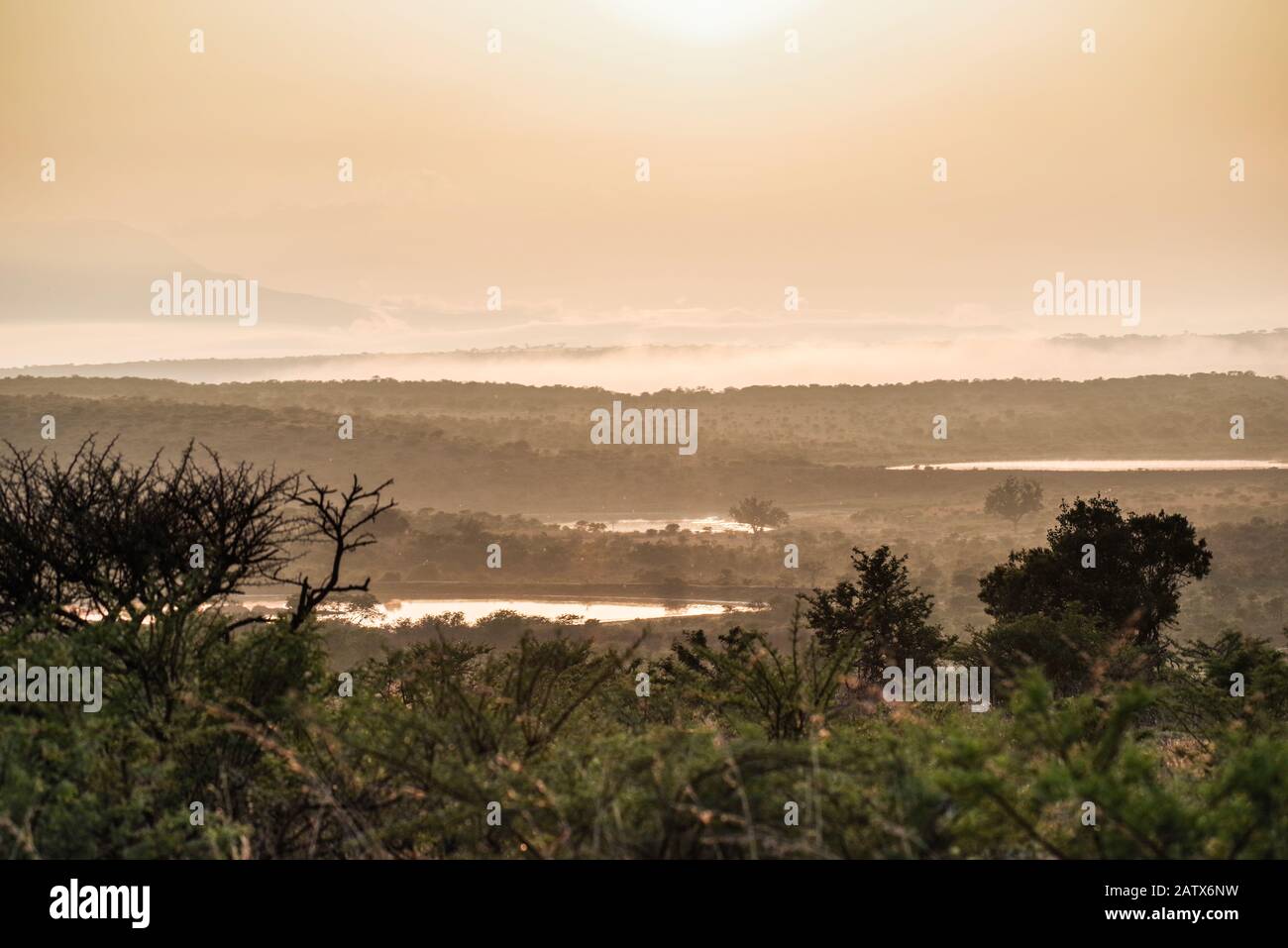 Nebeliger Blick auf die wunderschöne afrikanische Landschaft rund um das private Wildreservat Namiti Big 5 - Kwa Zulu-Natal‎, Südafrika Stockfoto