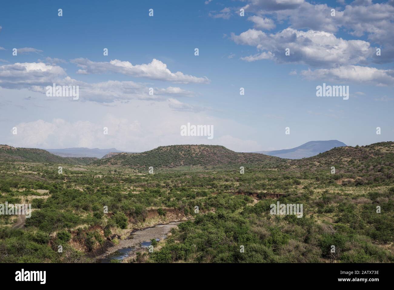 Blick auf das private Game-Reservat von Nambiti - Kwazulu Natal, Südafrika Stockfoto