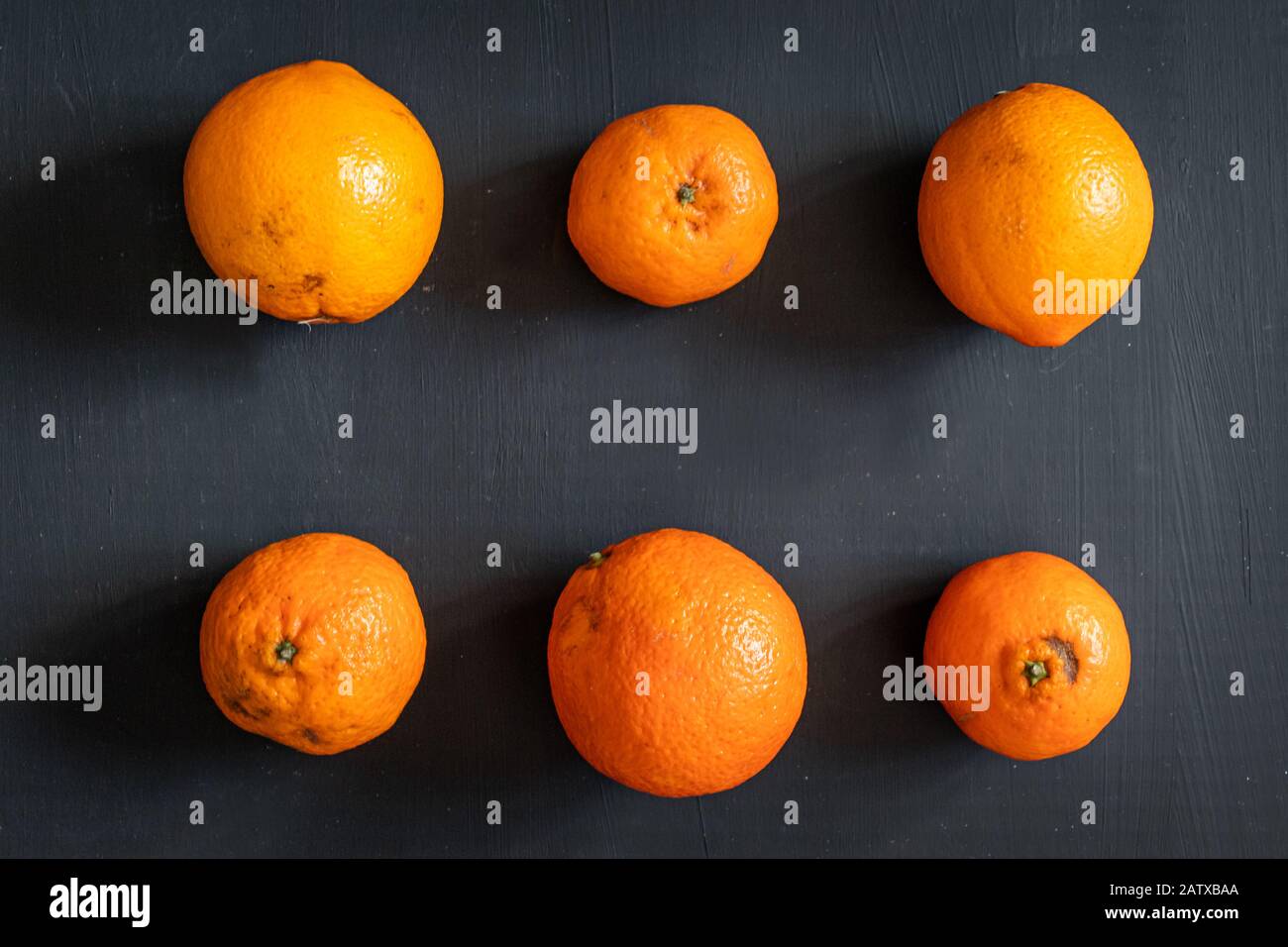 Orangen und Mandarinen in zwei Reihen über dunklem Hintergrund Stockfoto