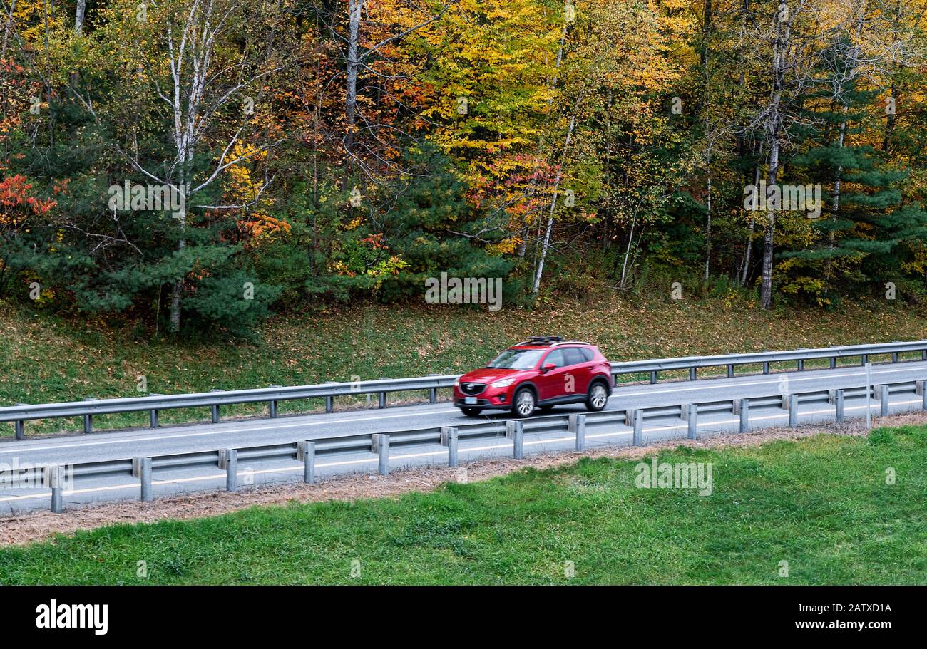 Panoramafahrt mit Herbstfarbe. Stockfoto