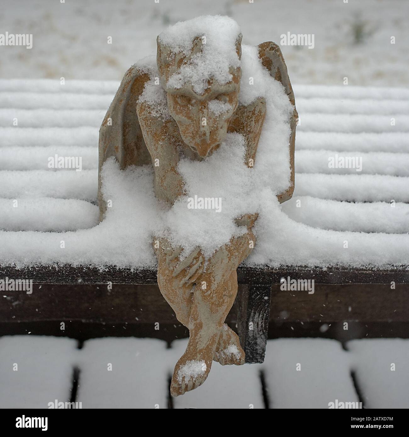 Wasserspeier auf einer Bank unter Schneefall sitzend. Stockfoto