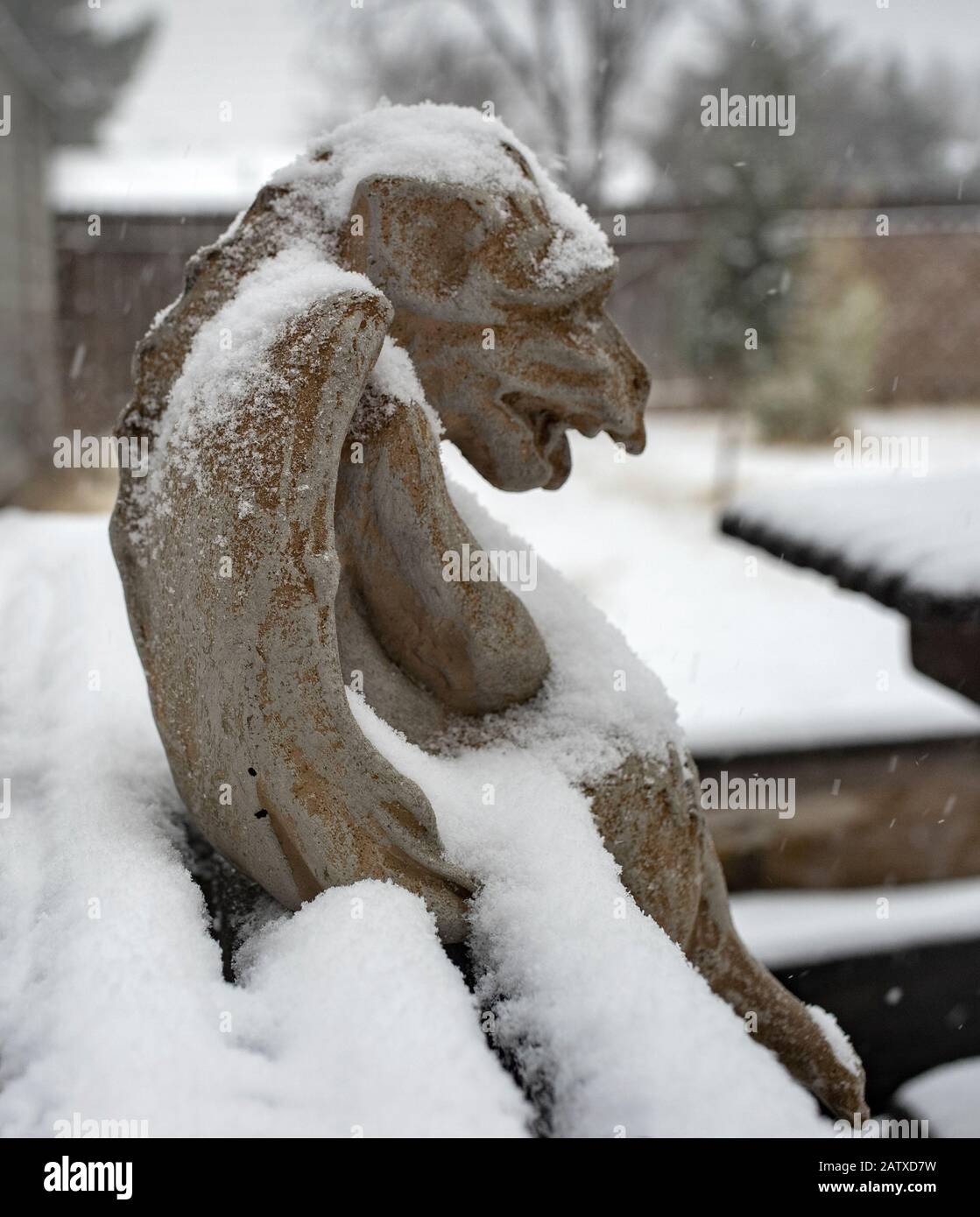 Wasserspeier auf einer Bank unter Schneefall sitzend. Stockfoto