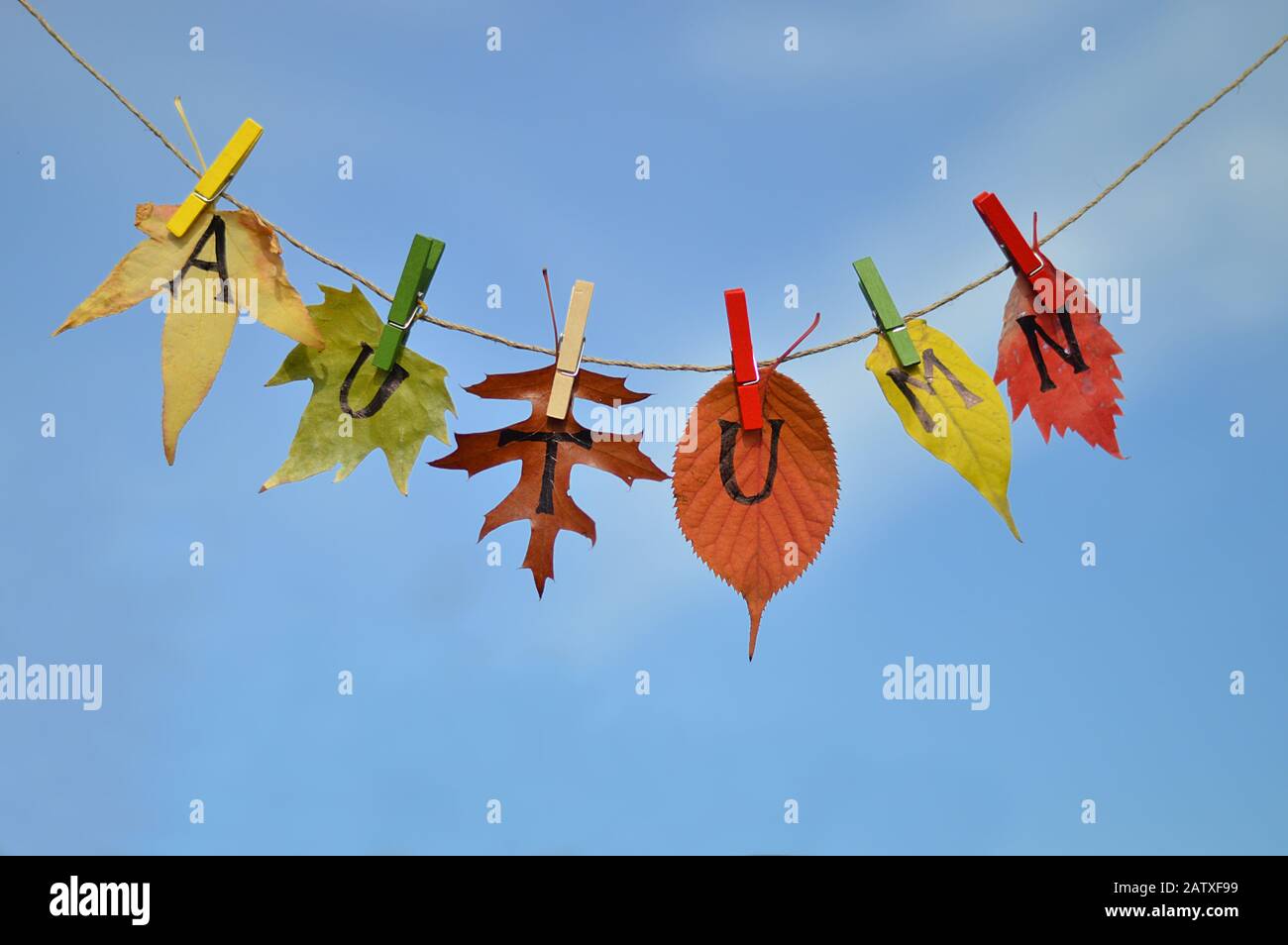 String mit Blättern und Buchstaben: HERBST vor blauem Himmel Stockfoto