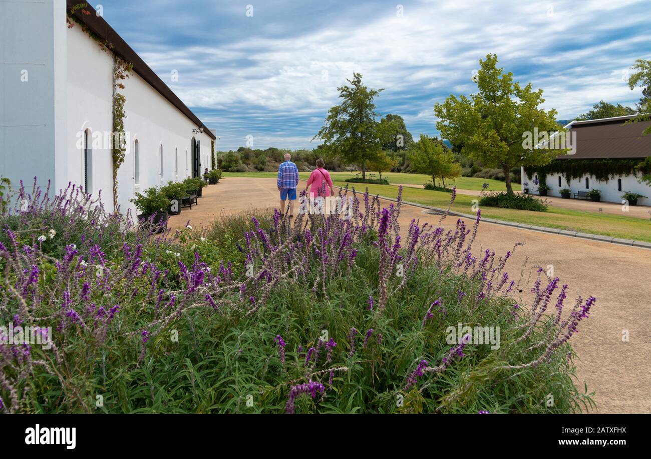 Franschhoek Motor Museum zeigt das Gelände und die Gebäude, in denen die makellosen Oldtimer, Franschhoek, Südafrika, untergebracht sind Stockfoto