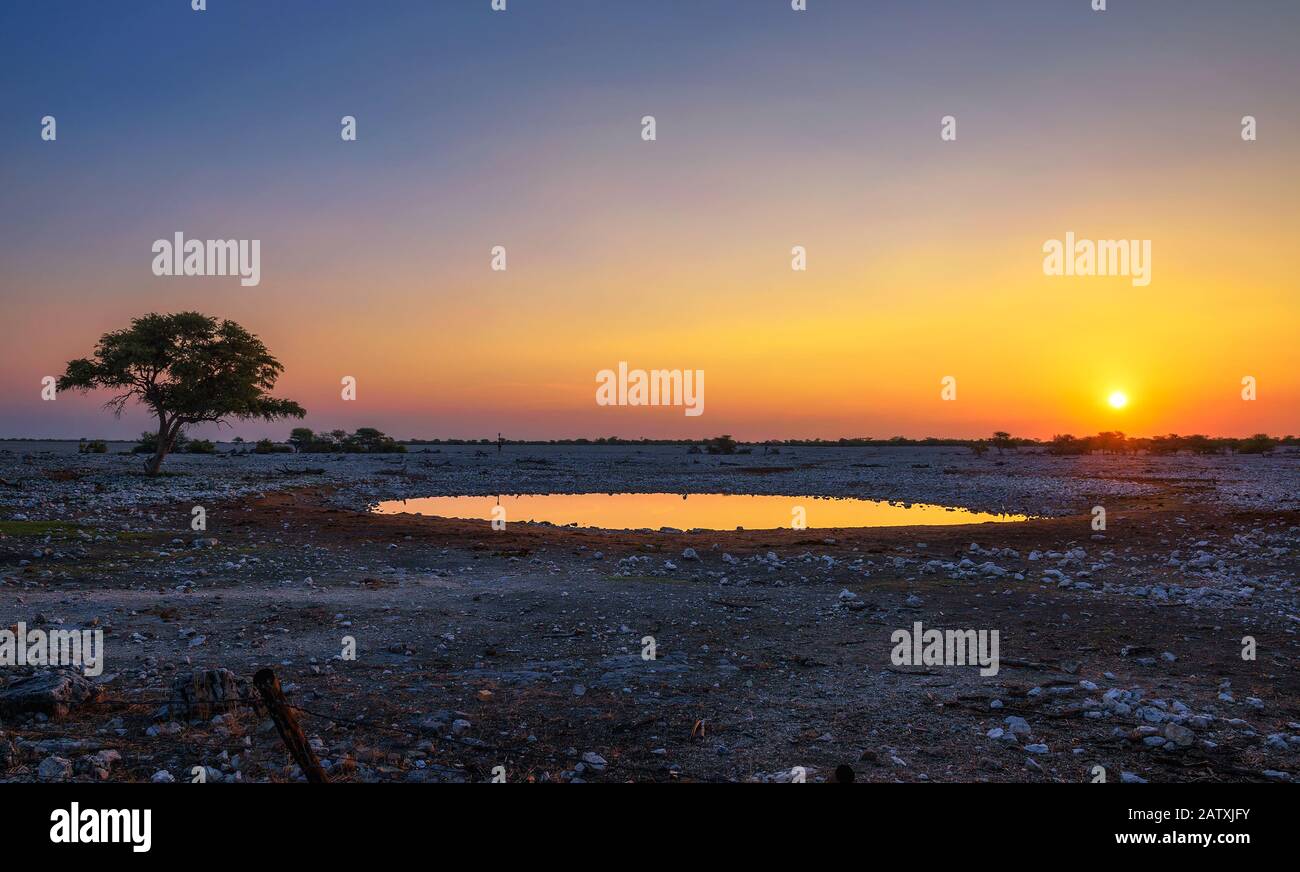 Sonnenuntergang über dem Wasserloch des Okaukuejo Camps in Etosha, Namibia Stockfoto