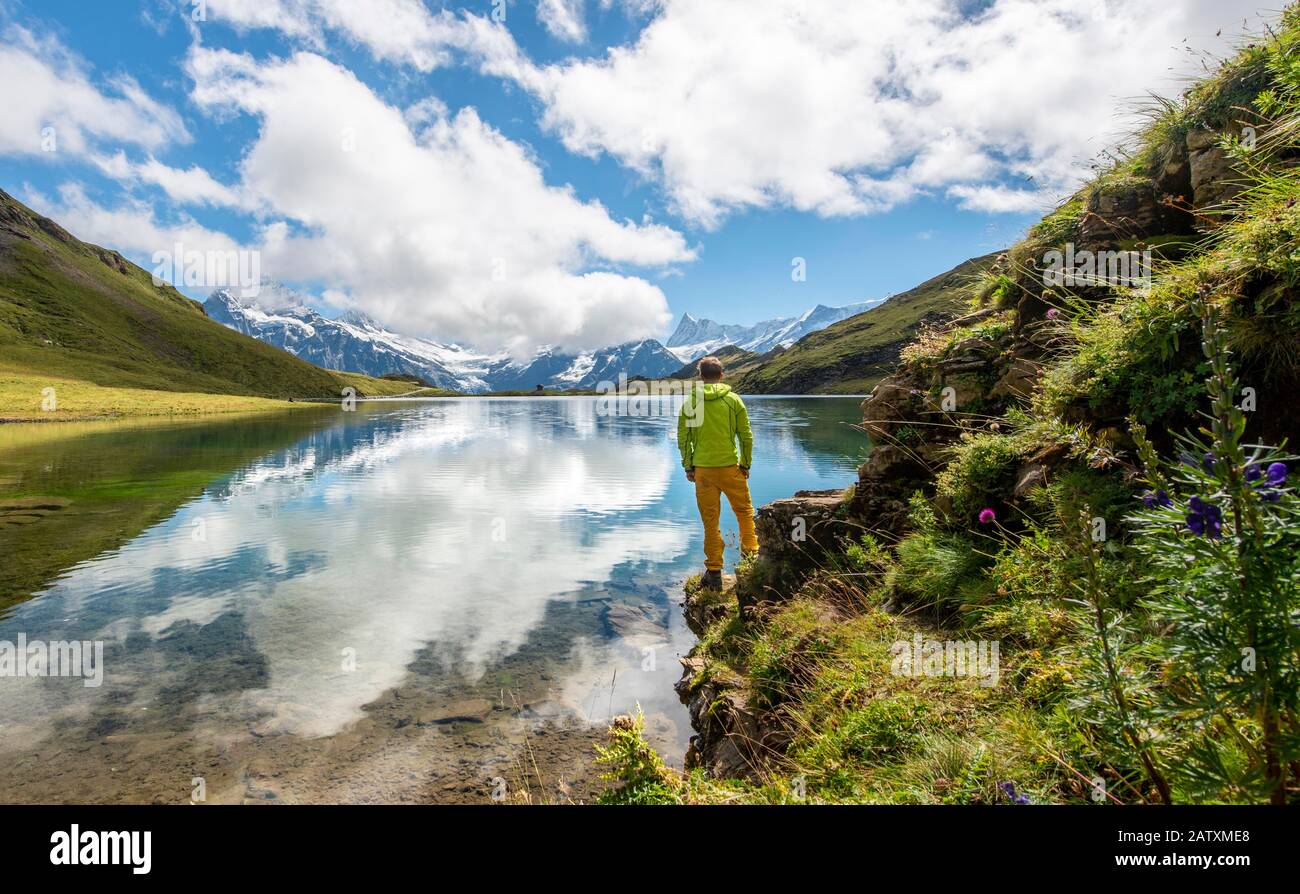 Wanderer am Bachalpsee, Spiegelung im See, Schreckhorn- und Finsteraarhorner Gipfel, Grindelwald, Berner Oberland, Schweiz Stockfoto