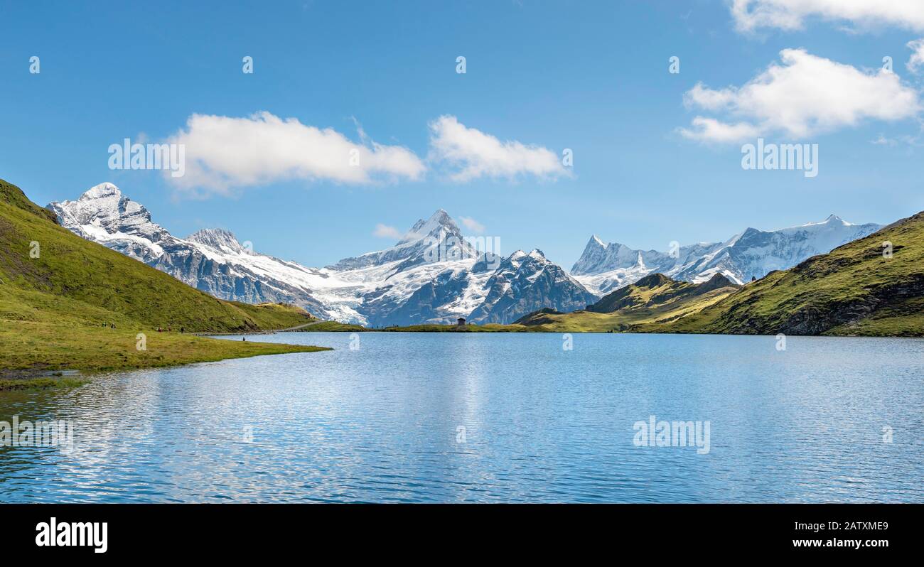 Blick auf Grindelwald-Gletscher, Bachalpsee mit Gipfeln des Schreckhorns und Finsteraarhorns, Grindelwald, Berner Oberland, Schweiz Stockfoto