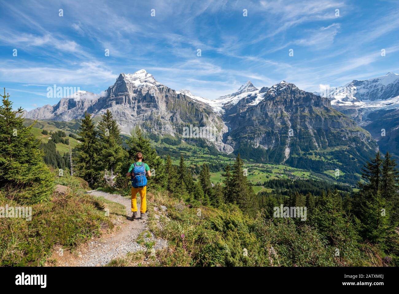 Wanderer auf dem Wanderweg nach Bachalpsee, hinter schneebedeckten Wetterhorn und Schreckhorn, Grindelwald, Bern, Schweiz Stockfoto