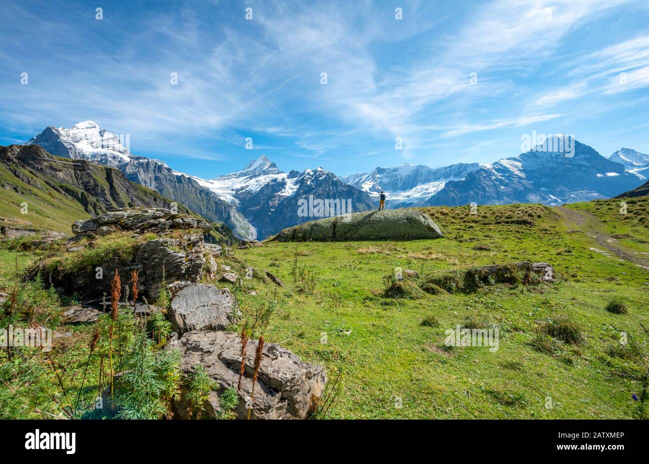 Wanderer steht auf einem großen Felsen, hinter ihm schneebedeckte Schreckhorn, Wetterhorn und Eiger, Grindelwald, Bern, Schweiz Stockfoto