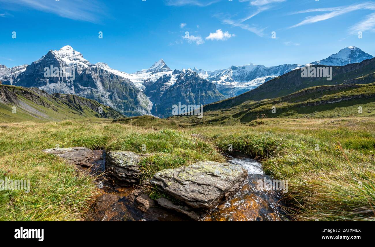 Kleiner Bach, schneebedecktes Fiescherhorn, Wetterhorn und Schreckhorn, Grindelwald, Bern, Schweiz Stockfoto