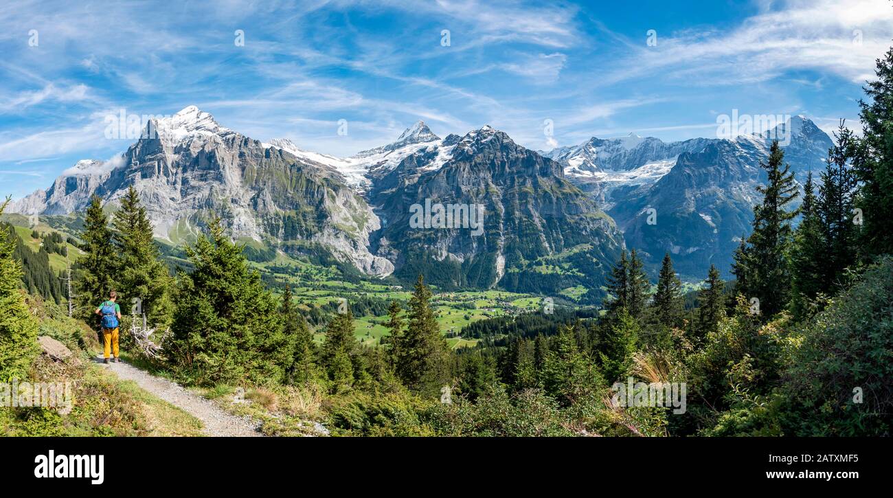 Wanderer auf dem Wanderweg nach Bachalpsee, hinter verschneiten Wetterhorn, Schreckhorn und Eiger, Grindelwald, Bern, Schweiz Stockfoto