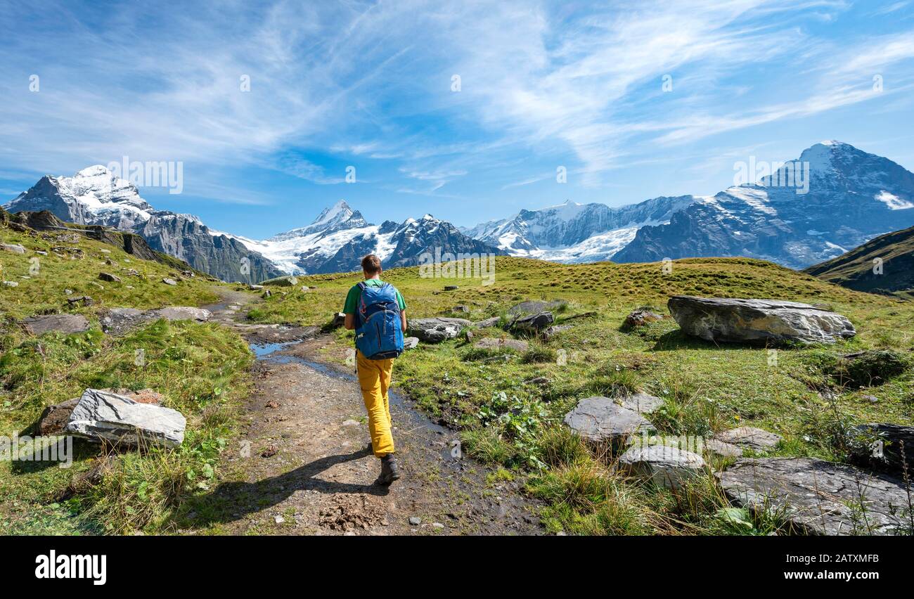 Wanderer, schneebedecktes Fiescherhorn, Wetterhorn und Schreckhorn, Grindelwald, Bern, Schweiz Stockfoto