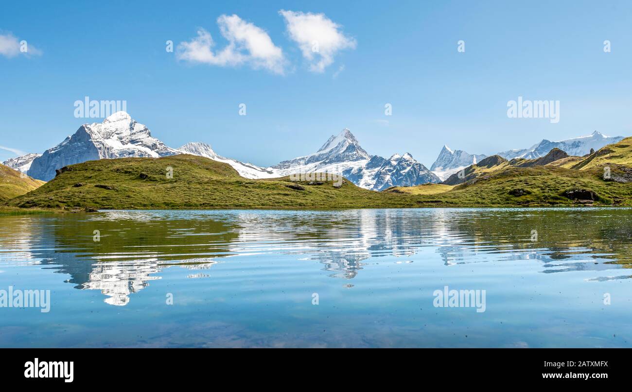 Die Gipfel Schreckhorn und Finsteraarhorn spiegeln sich im Bachalpsee, Grindelwald, Berner Oberland, Schweiz, wider Stockfoto