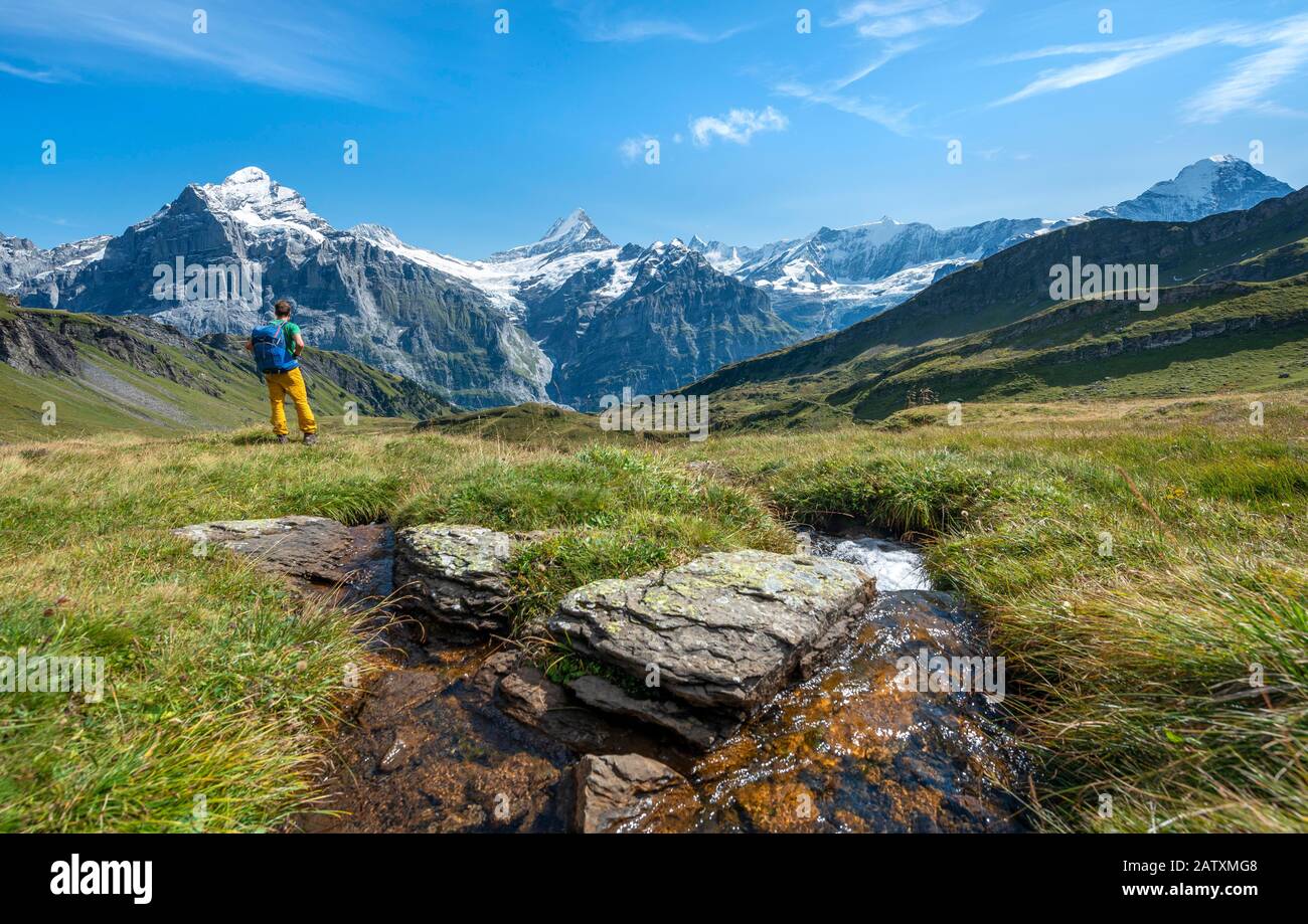 Wanderer an einem Bach, hinter schneebedecktem Fiescherhorn, Wetterhorn und Schreckhorn, Grindelwald, Bern, Schweiz Stockfoto