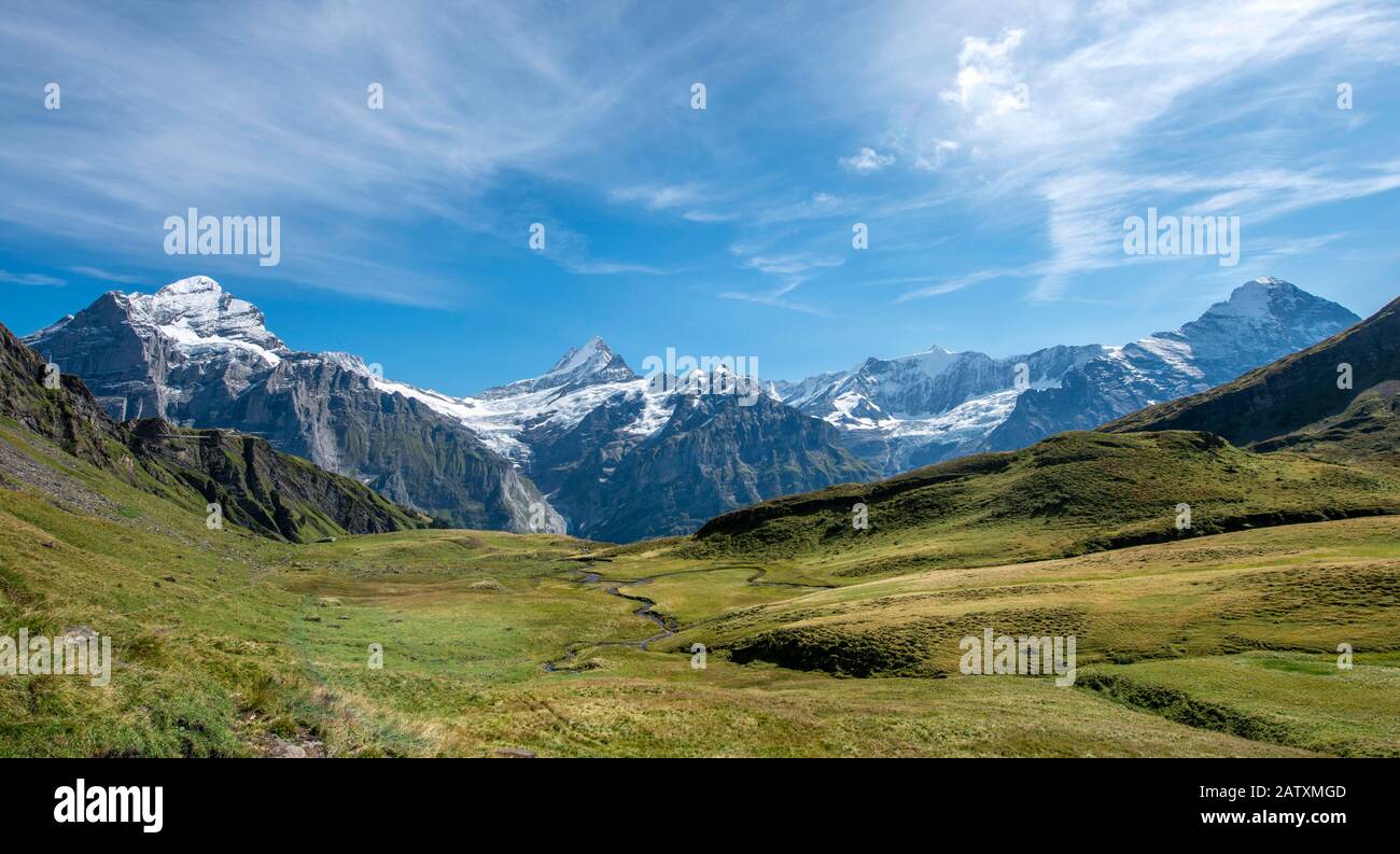 Blick auf das schneebedeckte Fiescherhorn, Wetterhorn und Schreckhorn, Grindelwald, Bern, Schweiz Stockfoto