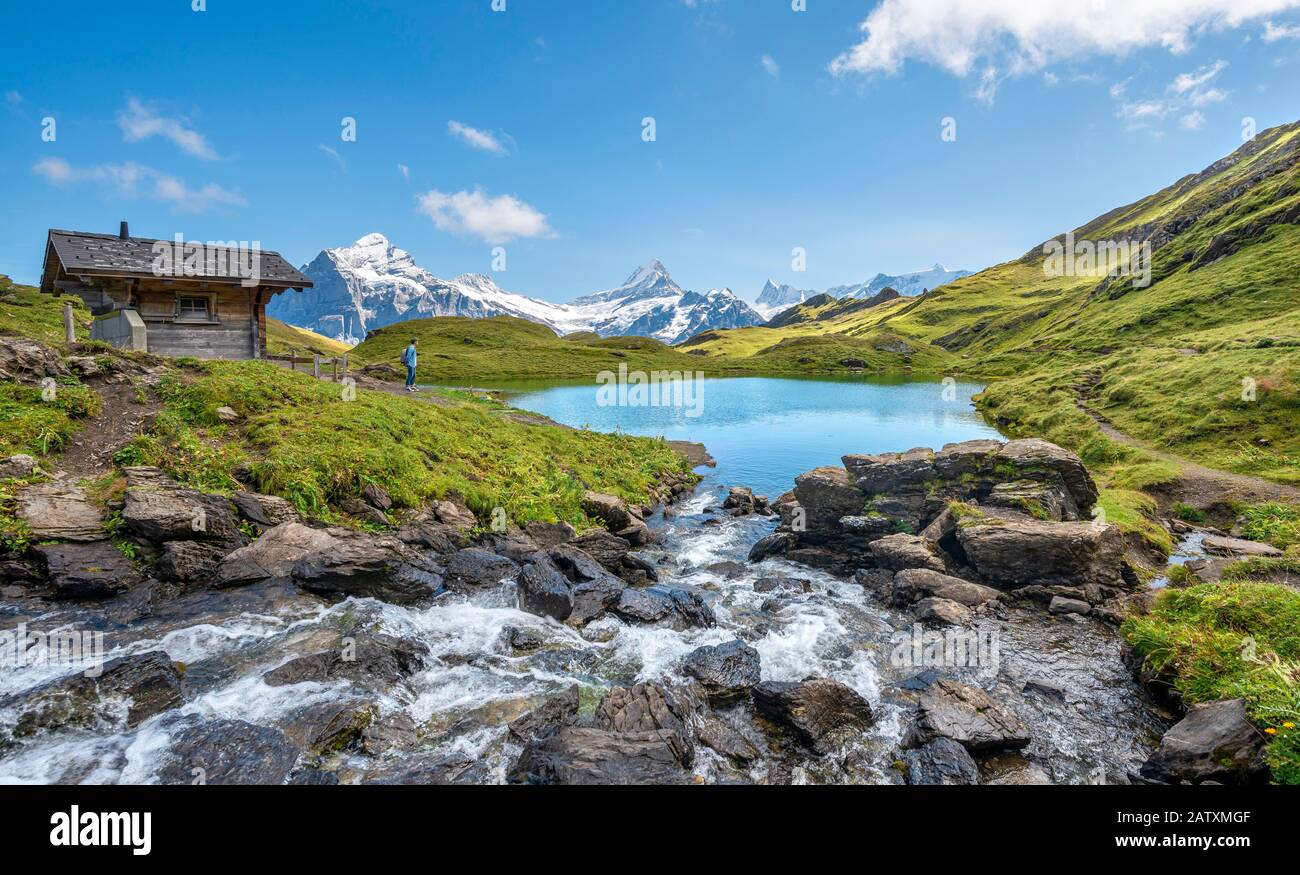 Hütte und Bach am Bachalpsee, mit Gipfeln von Schreckhorn und Finsteraarhorn, Grindelwald, Berner Oberland, Schweiz Stockfoto