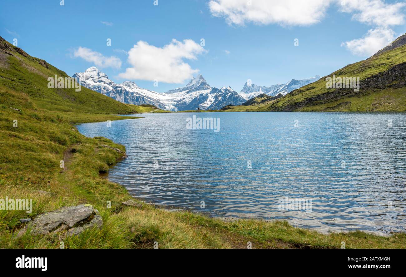 Bachalpsee mit Gipfeln des Schreckhorns und Finsteraarhorns, Grindelwald, Berner Oberland, Schweiz Stockfoto
