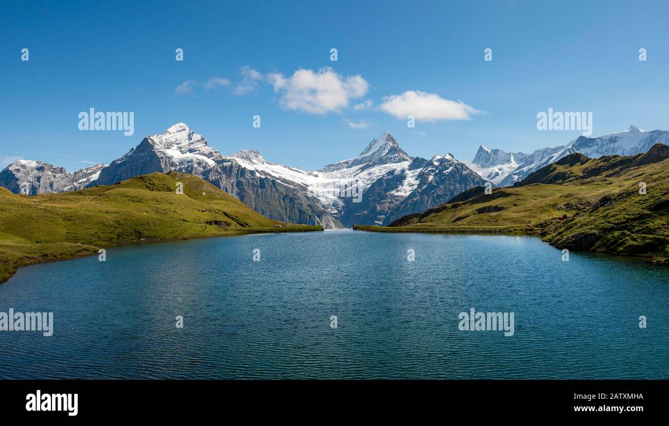 Blick auf Grindelwald-Gletscher, Bachalpsee mit Gipfeln des Schreckhorns und Finsteraarhorns, Grindelwald, Berner Oberland, Schweiz Stockfoto