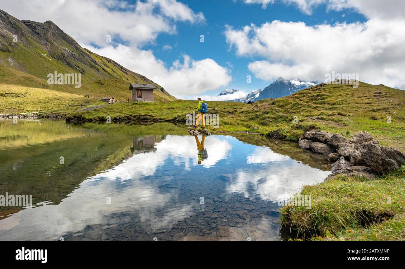 Wanderer am Bachalpsee, Grindelwald, Bern, Schweiz Stockfoto