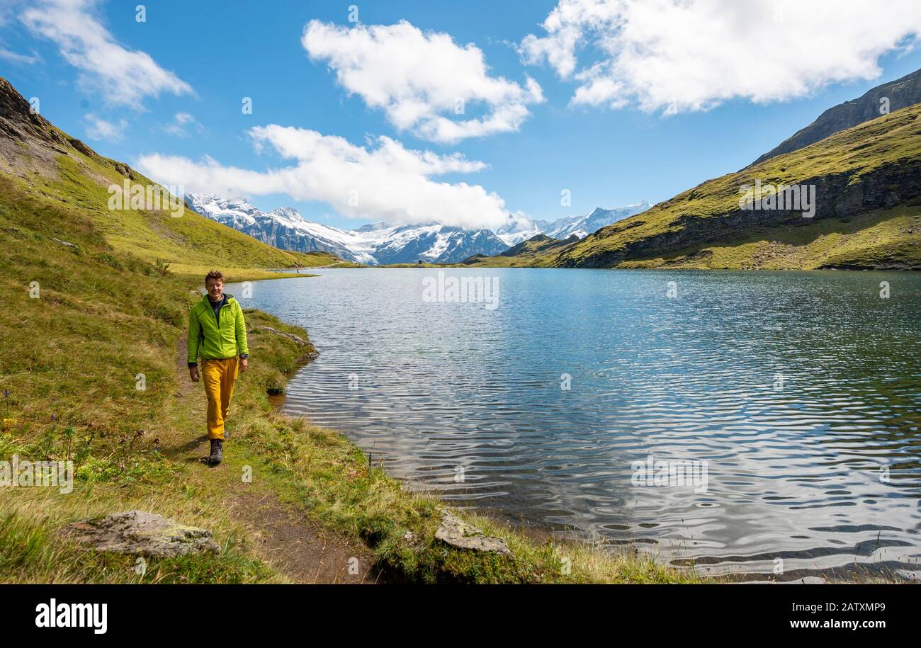 Wanderer am Bachalpsee, Schreckhorn und Finsteraarhorner Gipfel, Grindelwald, Berner Oberland, Schweiz Stockfoto
