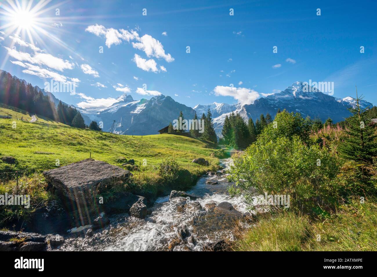 Bergbach bei strahlendem Sonnenschein, schneebedecktes Schreckhorn und Eiger im Rücken, Grindelwald, Bern, Schweiz Stockfoto