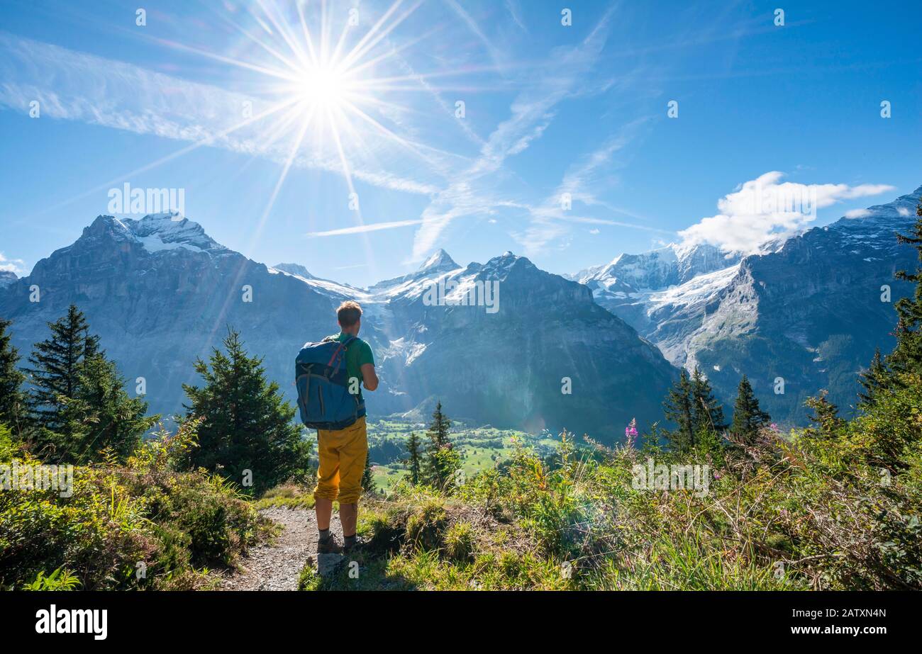 Wanderer auf dem Wanderweg nach Bachalpsee, hinter schneebedeckten Schreckhorn und Wetterhorn, Grindelwald, Bern, Schweiz Stockfoto