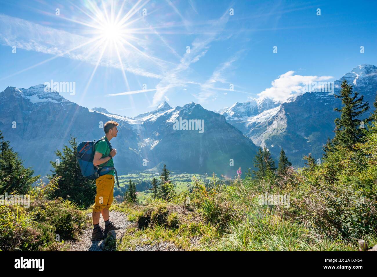 Wanderer auf dem Wanderweg nach Bachalpsee, hinter schneebedeckten Schreckhorn, Wetterhorn und Eiger, Grindelwald, Bern, Schweiz Stockfoto