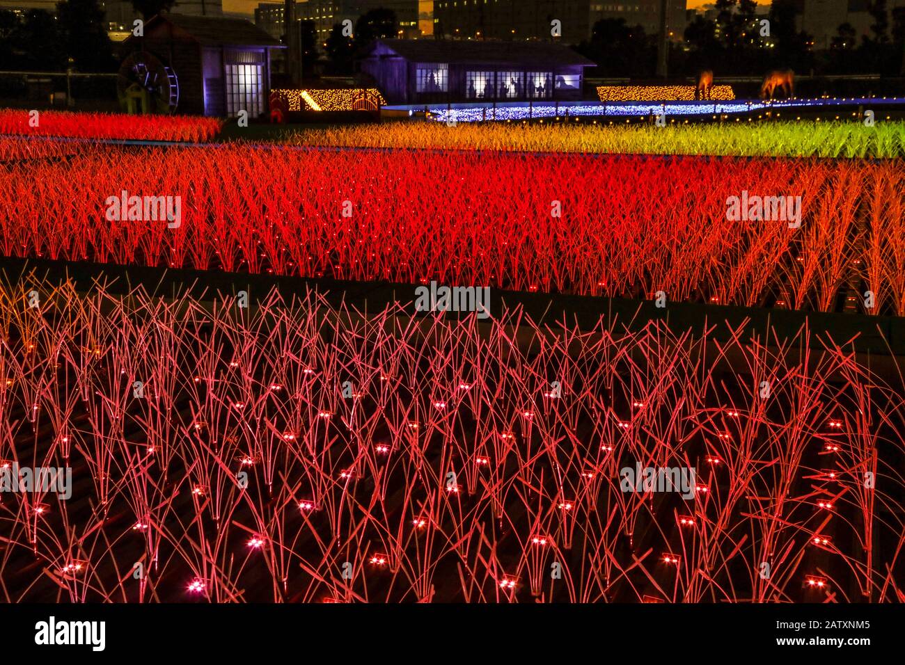 TOKYO MEGA ILLUMI 2020 Stockfoto