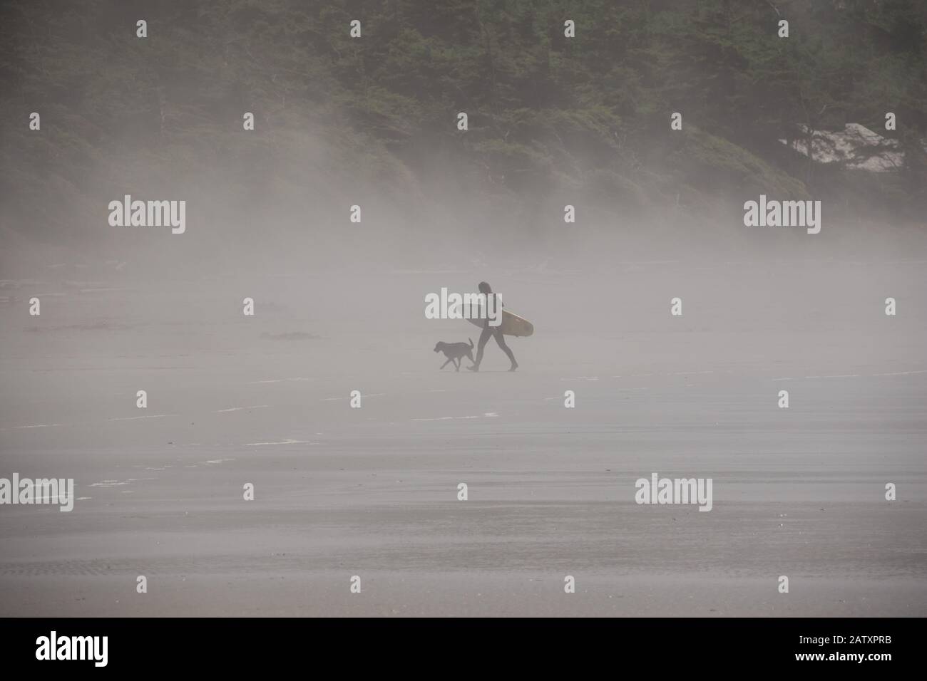 Tofino surfer mit Hund Stockfoto